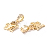 Eco-Friendly Brass Micro Pave Cubic Zirconia Pendants KK-K265-01G-M-2