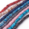 Shell Beads Strands SSHEL-E571-49-1