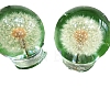 Glass Dandelion Crystal Ball PW-WG71865-01-4