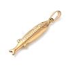 304 Stainless Steel Pendants SA-CBA34D4-02D-G-2