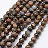 Natural Llanite Beads Strands G-K209-04A-6mm-2