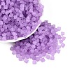 FGB Frosted Transparent Glass Seed Beads SEED-N013-03A-07-1