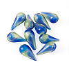 10Pcs Handmade Lampwork Beads LAMP-TADJ0001-11-3