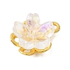 Alloy Glass Charms FIND-C079-05G-03-2