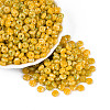 Picasso Glass Seed Beads SEED-N010-01B-1