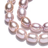 Natural Cultured Freshwater Pearl Beads Strands PEAR-N012-06W-5