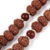 Buddhist Jewelry Prayer 108 Rudraksha Seed Mala Beads Necklaces NJEW-M102-02-4