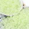 Transparent Colours Glass Seed Beads SEED-P008-01B-03-1