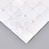 Natural Freshwater Shell Mosaic Tiles Cabochons SHEL-Q029-06-2