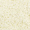 MIYUKI Round Rocailles Beads SEED-JP0009-RR0421-3