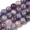Natural Purple Red Tourmaline  Beads Strands G-N327-02A-01-1