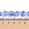 Handmade Lampwork Beads Strands LAMP-Q036-03A-4