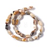 Natural Crazy Agate Beads Strands G-L243B-20-3