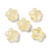 Baking Paint Glass Beads LS-GLAA-S202-10C-1