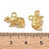304 Stainless Steel Charms STAS-I367-10G-3