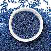 MIYUKI 3.4mm Drop Beads Y-SEED-MY04-DP291-4