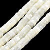 Natural Trochus Shell Beads Strands BSHE-E030-09A-01-2