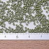 MIYUKI Delica Beads SEED-X0054-DB0263-4