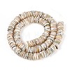 Luminous Natural Seashell Shell Beads Strands SSHEL-T017-34-2