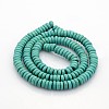 Synthetic Turquoise Beads Strands G-J184-01-2