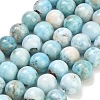 Natural Larimar Beads Strands GG-CBA007A-B01-12mm-2