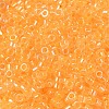 Glass Seed Beads SEED-S042-13A-05-3