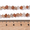 Natural Moonstone Beads Strands G-L650-M01-01-5