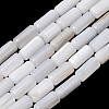 Natural Freshwater Shell Beads Strands SH-CBA2978-21B-1