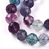 Natural Rainbow Fluorite Bead Strands G-T140-22A-4