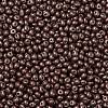 6/0 Glass Seed Beads X1-SEED-L011-08A-08-3