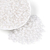 FGB Inside Colours Transparent Glass Seed Beads SEED-T009-01L-3