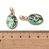 Constellation Natural Paua Shell Pendants KK-P265-01G-12-3