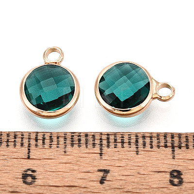 Golden Tone Brass Glass Charms GLAA-ZX008-24G-G-1