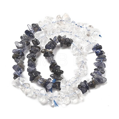 Natural Quartz Crystal & Iolite Beads Strands G-L610-A30-01-1