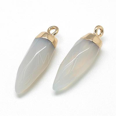 Natural Grey Agate Pointed Pendants G-Q495-08G-1