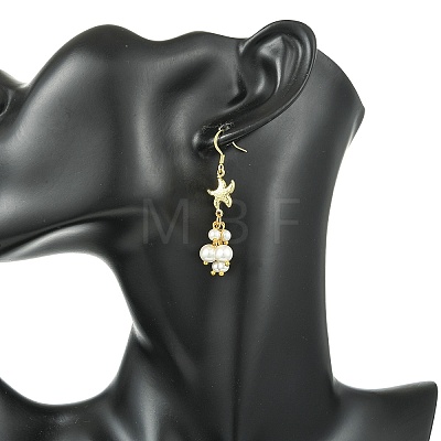 304 Stainless Steel Pendant Dangle Earrings EJEW-JE07232-02-1