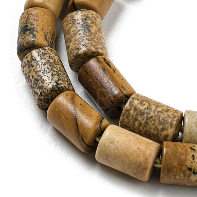 Natural Picture Jasper Beads Strands G-Q1008-A11-1