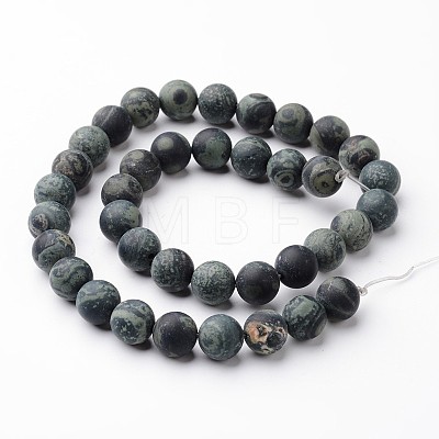 Frosted Round Natural Kambaba Jasper Bead Strands G-J346-30-10mm-1