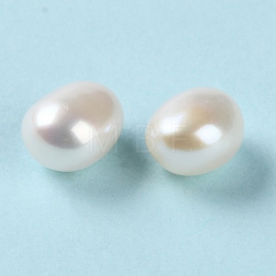 Natural Cultured Freshwater Pearl Beads PEAR-E020-03-1