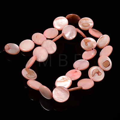 Natural Shell Beads Strands PBB251Y-6-1
