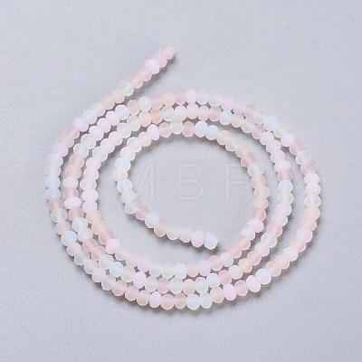 Faceted Glass Beads Strands GLAA-F106-B-F11-1