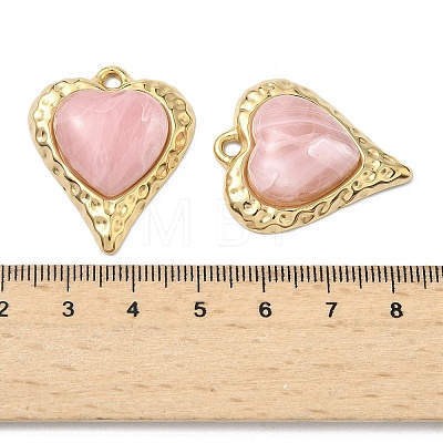 304 Stainless Steel & Resin Pendants STAS-G371-18G-01-1