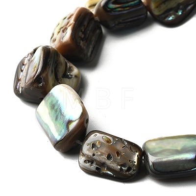 Natural Abalone Shell/Paua Shell Beads Strands BSHE-D300-01A-1
