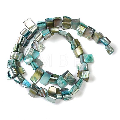 Dyed Natural Freshwater Shell Beads Strands SHEL-P016-01C-1