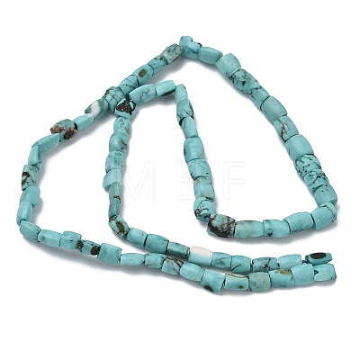 Dyed Natural Crackle Turquoise Beads Strands G-K365-G03-02-1