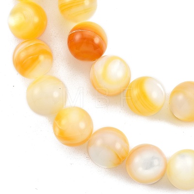 Natural Golden Yellow Shell Beads Strands SSHEL-G024-01E-1