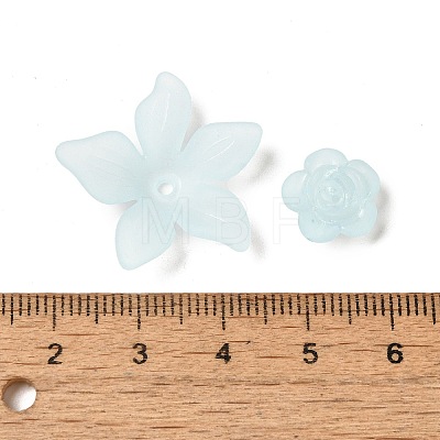 Frosted Transparent Acrylic Beads OACR-U006-03F-1