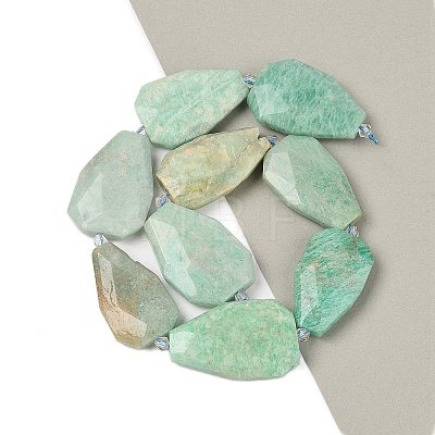 Natural Amazonite Beads Strands G-P548-B25-01-1