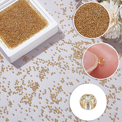 100G Glass Seed Beads SEED-SP0001-11B-1