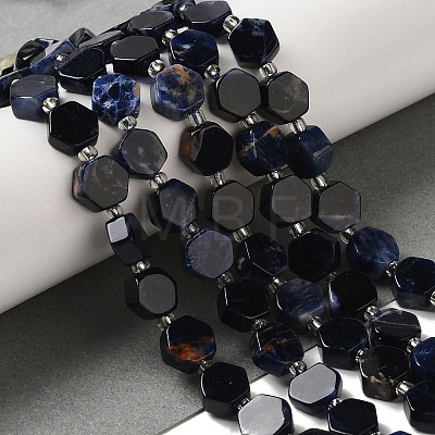 Natural Sodalite Beads Strands G-P534-A11-01-1